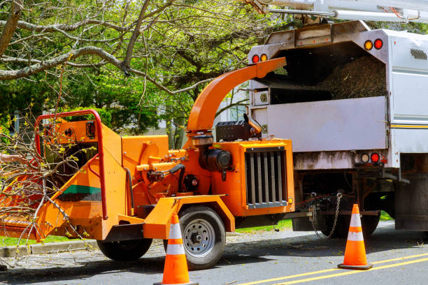 Mulching Services in Alma, MI